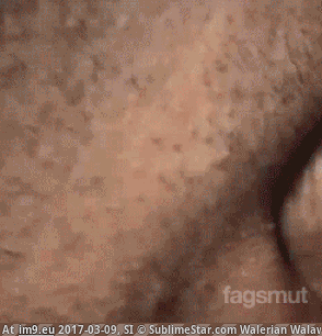 GIF #Gif #Animated #Gay #Blowjob #Licking #Male #Cocksucker #Xxx #Lips  #Cock, 1445971B â€“ Gay Porn