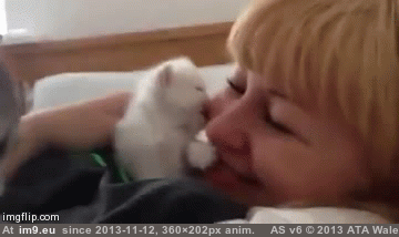 [Aww] You taste delicious, hooman! (in My r/AWW favs)