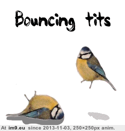 Bouncing Tits (funny animation) (in Rehost)