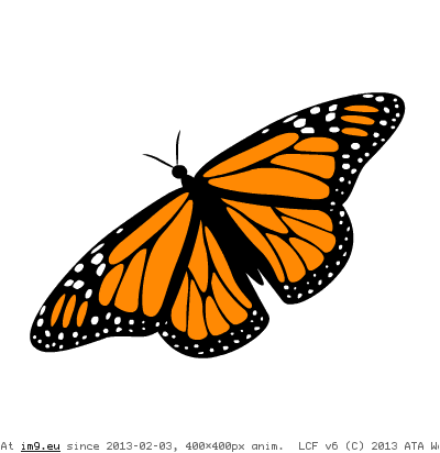 Butterfly animation (in Mojsze obrazki)