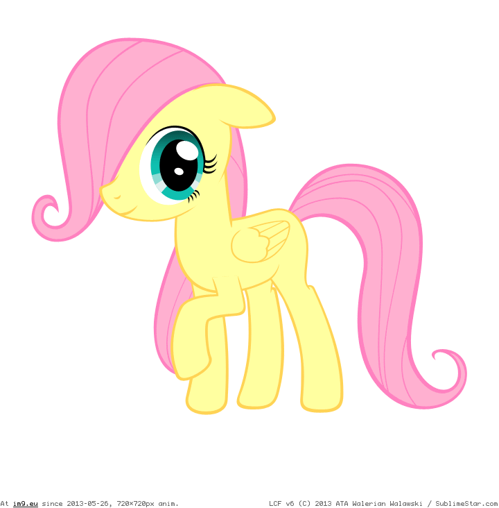 filly_fluttershy__animated_gif__by_abluskittle-d5frzin (in Animated gifs 0)