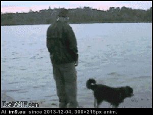 [Funny] 25 gifs of Instant Karma 1 (in My r/FUNNY favs)