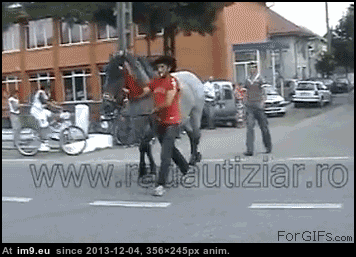 [Funny] 25 gifs of Instant Karma 24 (in My r/FUNNY favs)