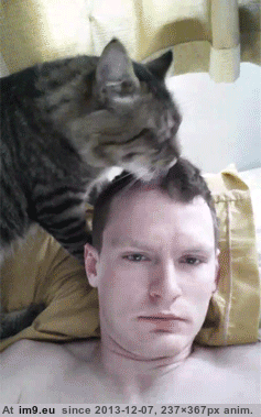[Funny] My hair stylist likes to wake me up with a little tongue action (in My r/FUNNY favs)