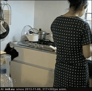 [Funny] No look cat dodge (in My r/FUNNY favs)