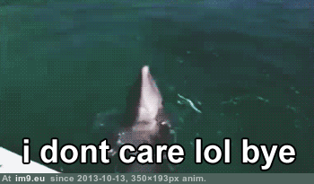 I dont care lol bye (funny dolphin) (in Rehost)