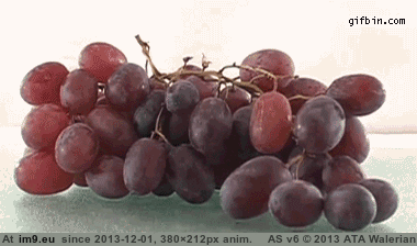 [Mildlyinteresting] Grapes to raisins time lapse (in My r/MILDLYINTERESTING favs)
