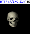 Skull Black (in Evil, dark GIF's - avatars and horrors)