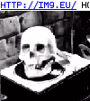 #Skull  #Circles Skull Circles GIF (Image of album Evil, dark GIF's - avatars and horrors))