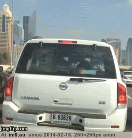 [Wtf] So my sister is stuck in traffic in Dubai when suddenly... (in My r/WTF favs)