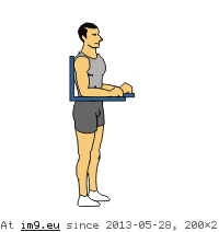 Wtverticalhipraise (animated) (in Core exercises animations)